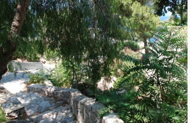 Daire Pan Club Holiday Village Bodrum Bodrum